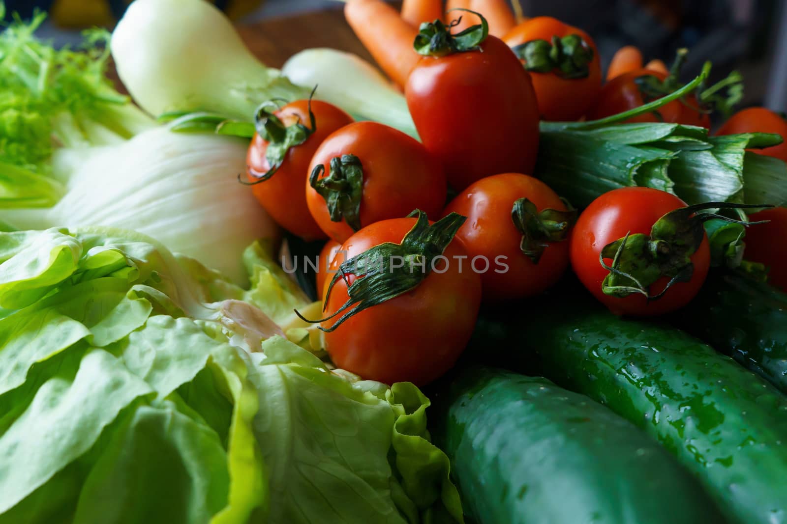 Healthy nutrition with fresh raw vegetables: a low angle close up view of a group of salad ingredients, lettuce, tomatoes, cucumbers, fennel, spring onions, and carrots