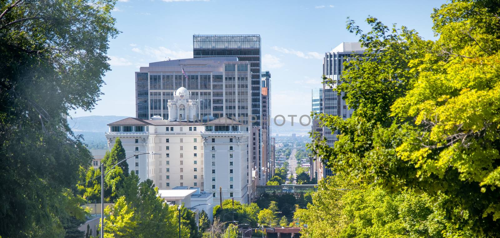 City streets with trees on a beautiful summer day, Salt Lake Cit by jovannig