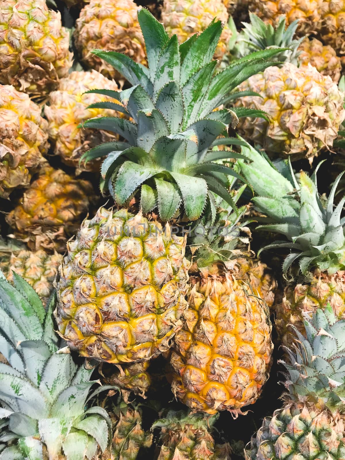 Closed up pile of pineapple in the convenient store.