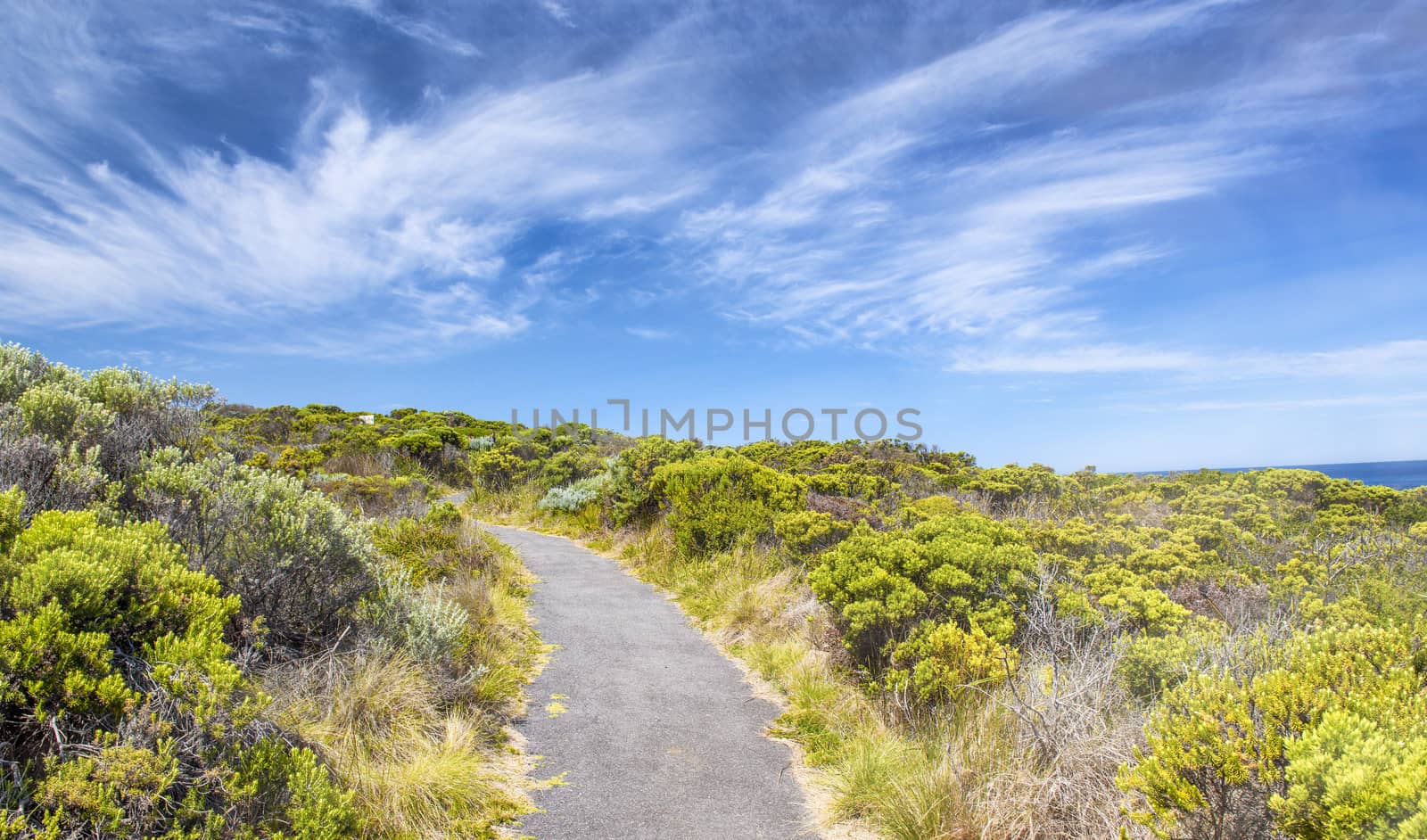 Trail across a beautiful coastline.