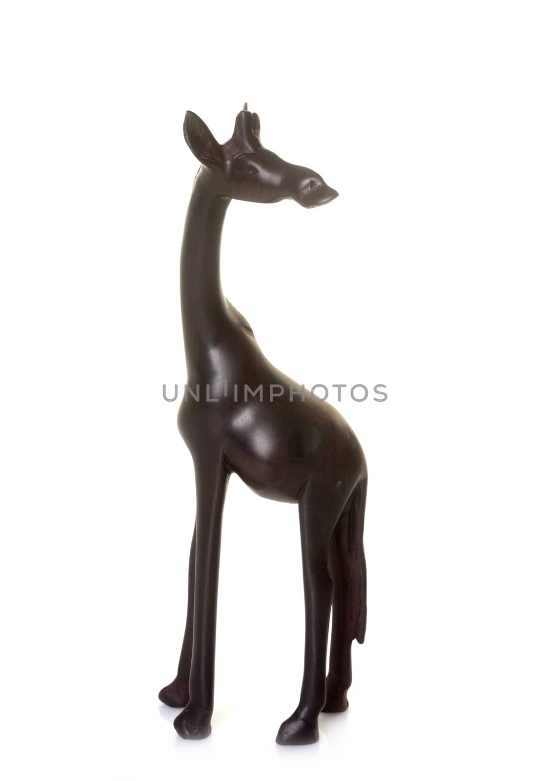 animal trinket in front of white background