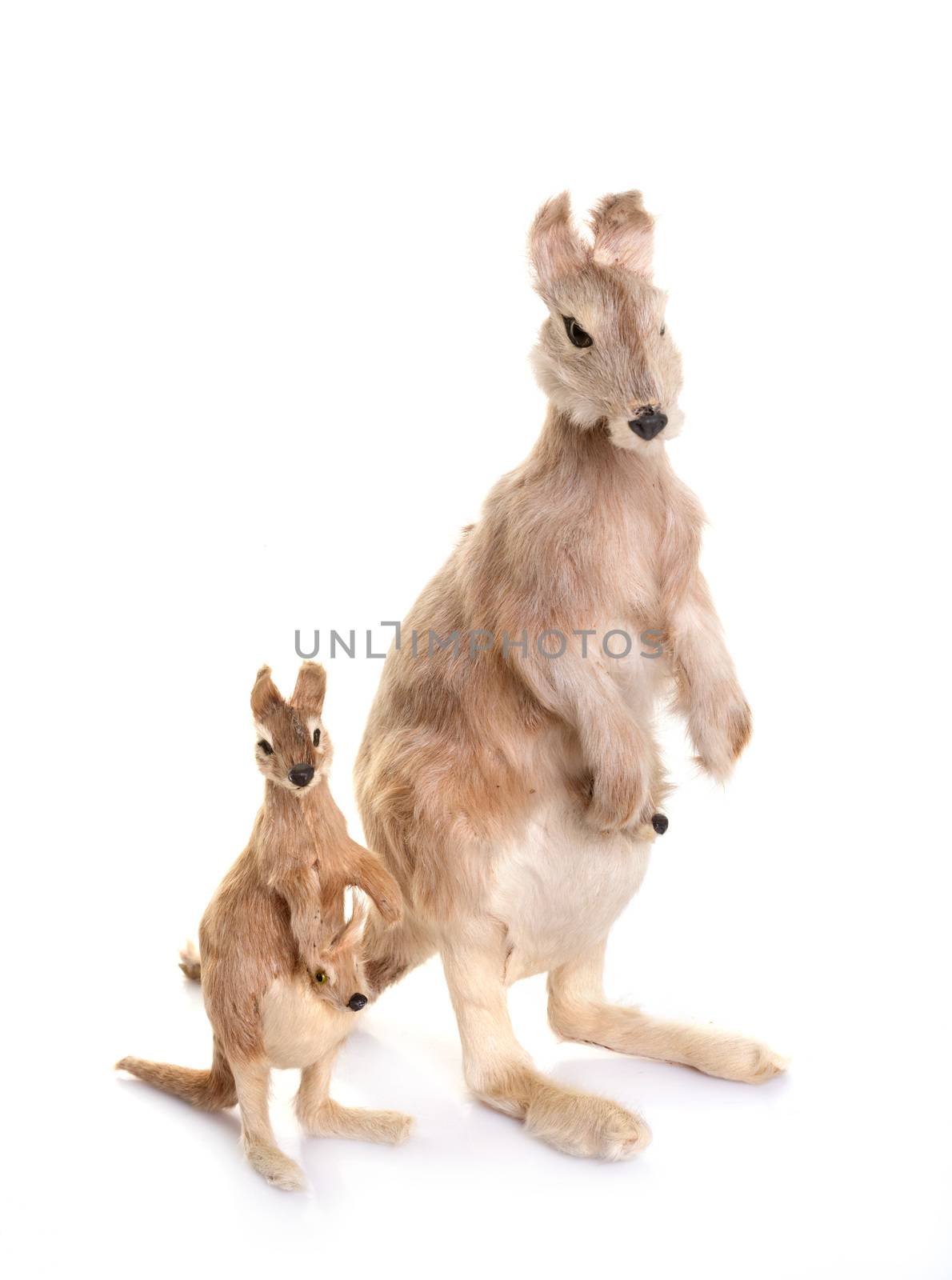 animal trinket in front of white background