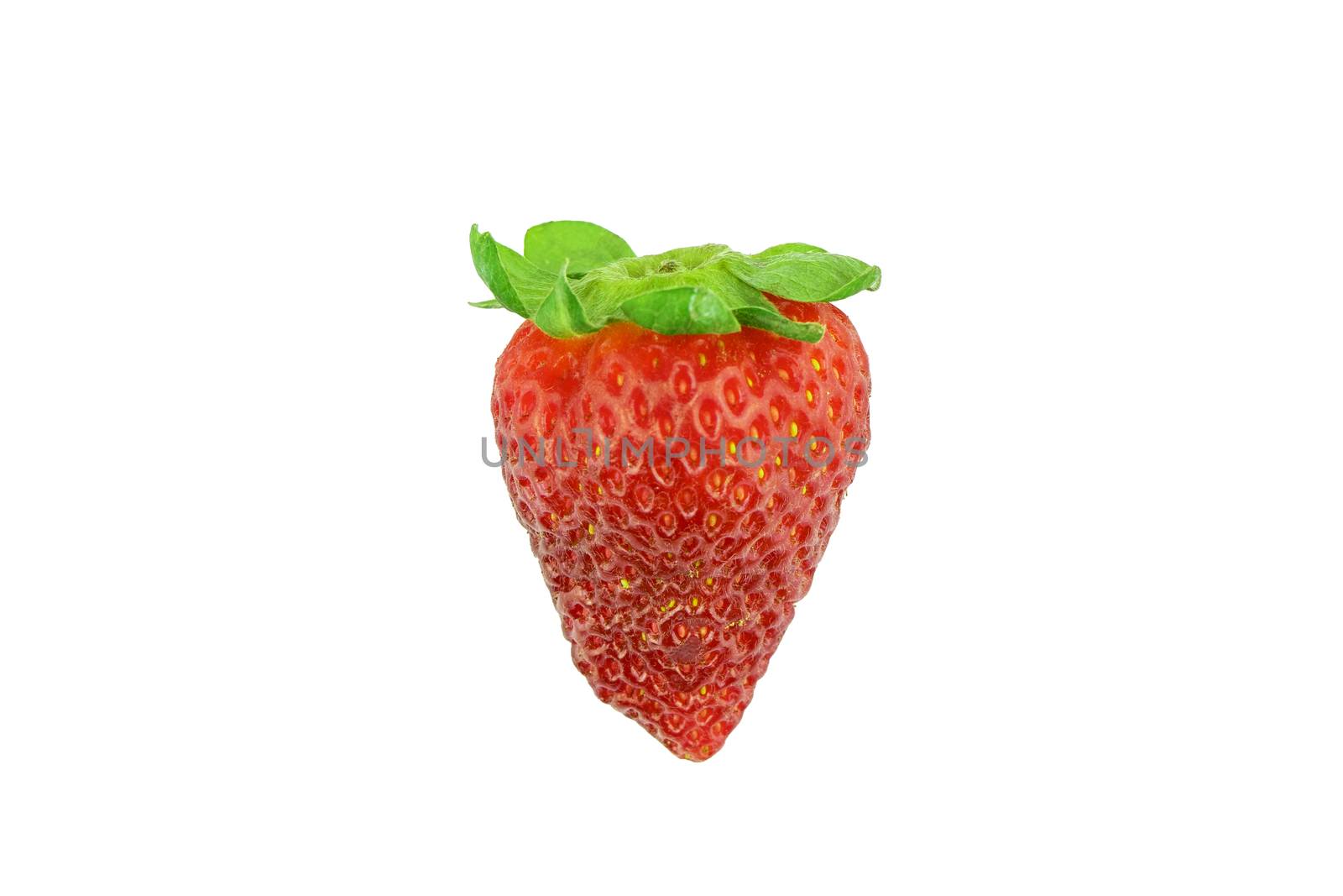 Single isolated ripe red strawberry on white background ready for cutting out with magic wand selection