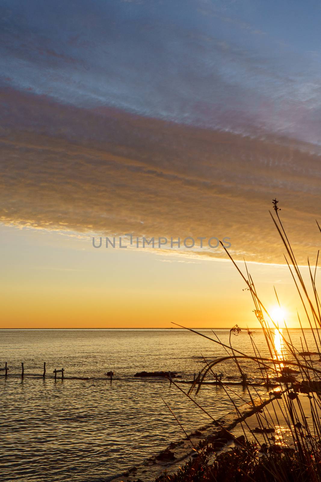 Bush plant silhouette cuts the sun in the foreground with orange and red sky with gorgeous cloud on an old abandoned sea pier in dawn or sunset with water reflections between the rocks by robbyfontanesi