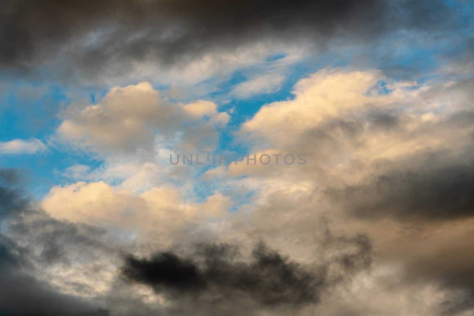 Golden fluffy clouds illuminated by disappearing rays at sunset and dark thunderclouds floating across sunny blue sky to change summer weather. Stunning view natural meteorology background.