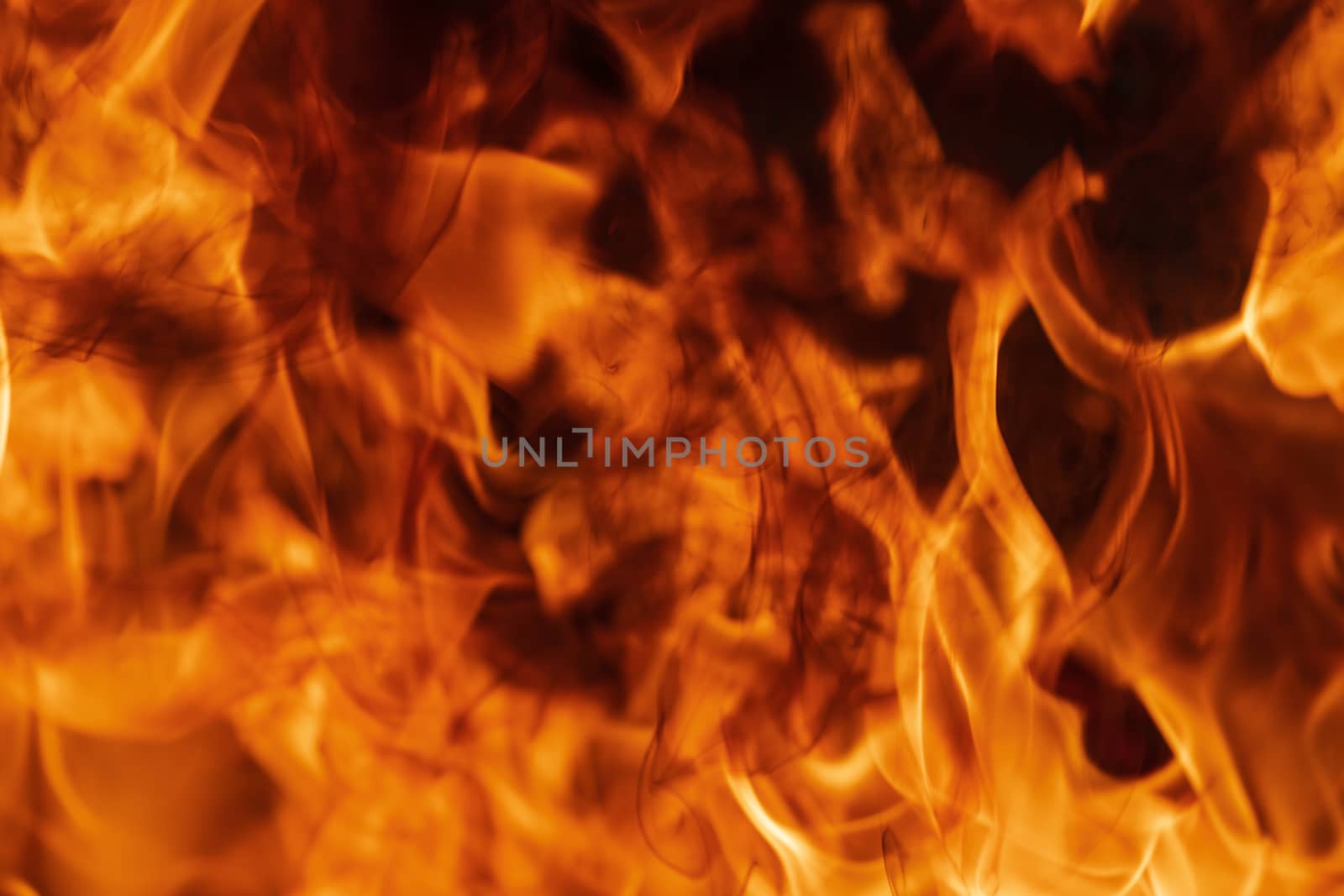 Flames red fire natural texture. Beautiful dangerous firestorm a by Alexander-Piragis