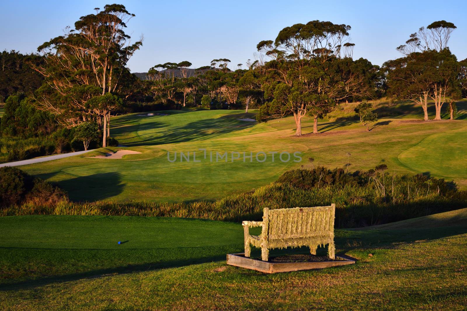 An old bench, antique, weathered, covered with moss and cobweb; A beautiful golf course manicured green grass and golden evening light.