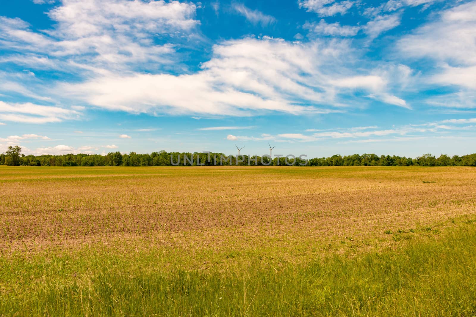 Farm land, Ontario, Canada. View of freshly planted fields