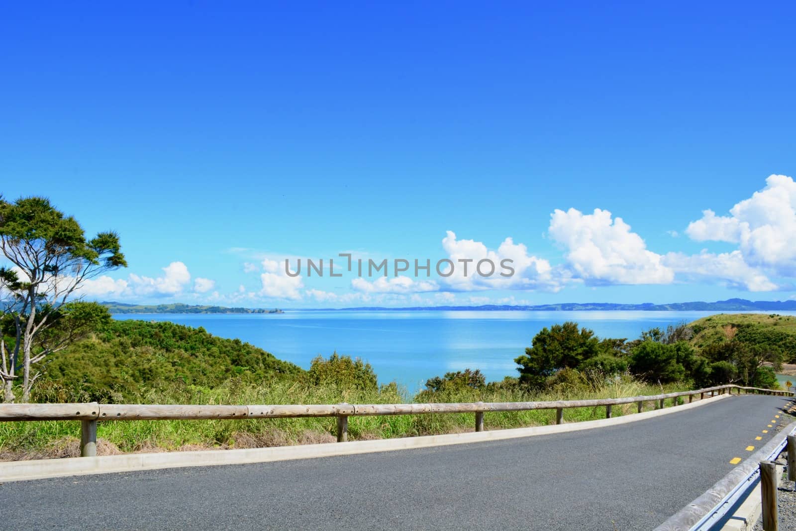 A narrow asphalt road leading to the sea; bright blue sea seen in some distance by Marshalkina