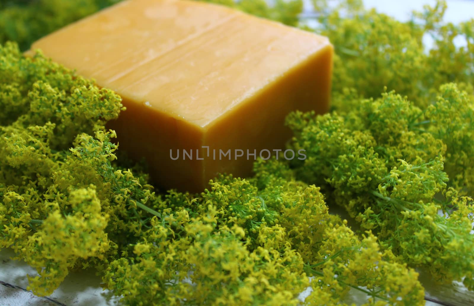 The picture shows blossoming cleaver and a piece of cheese on white boards