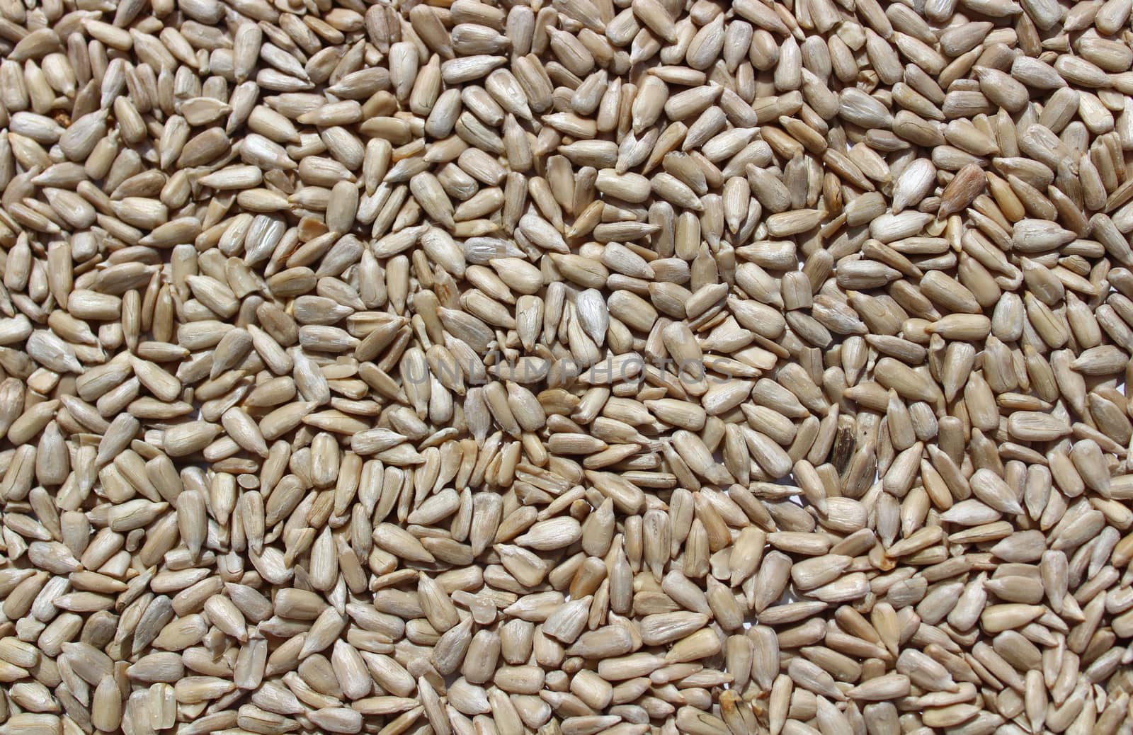 a background with sunflower seed by martina_unbehauen