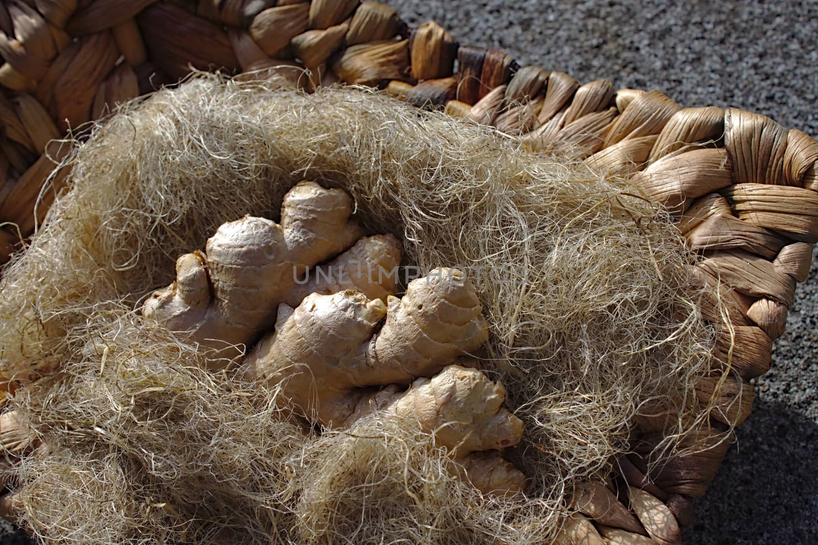 ginger in decoration wool in the garden by martina_unbehauen