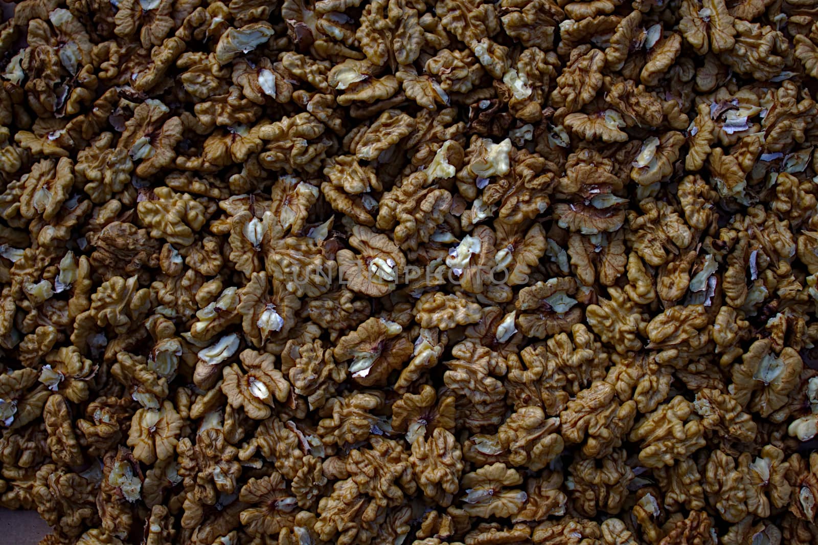 The picture shows many walnuts kernels in the garden