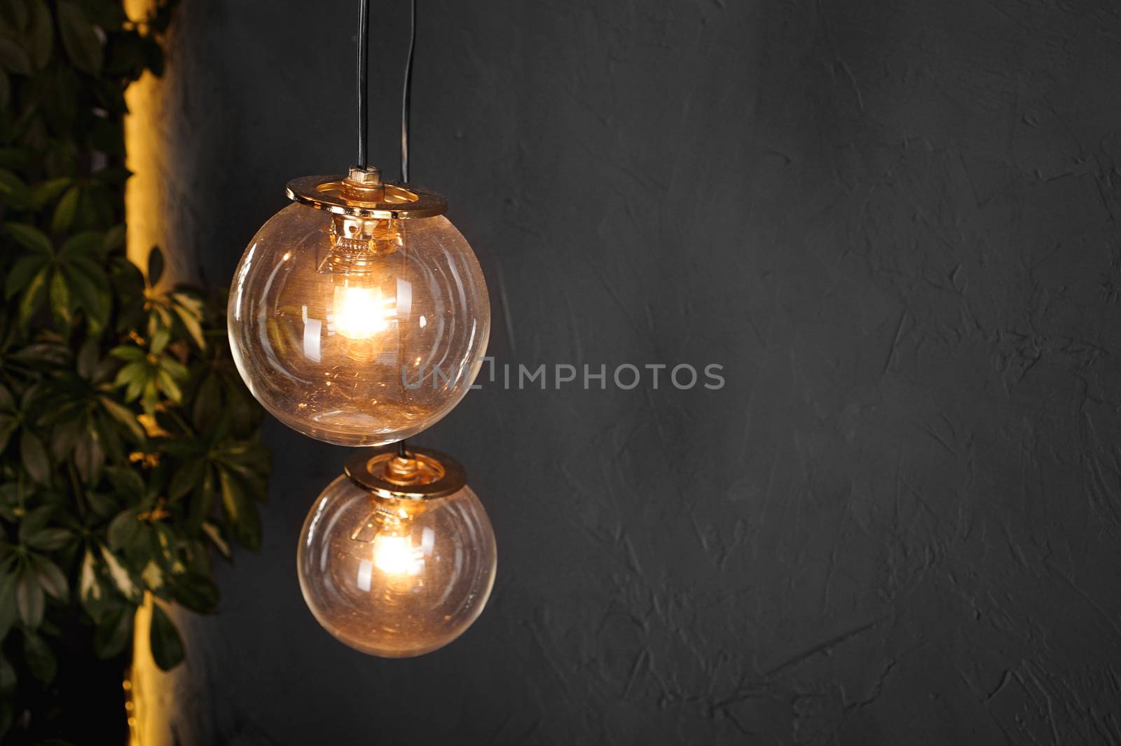 Decorative light tungsten bulbs against black wall background