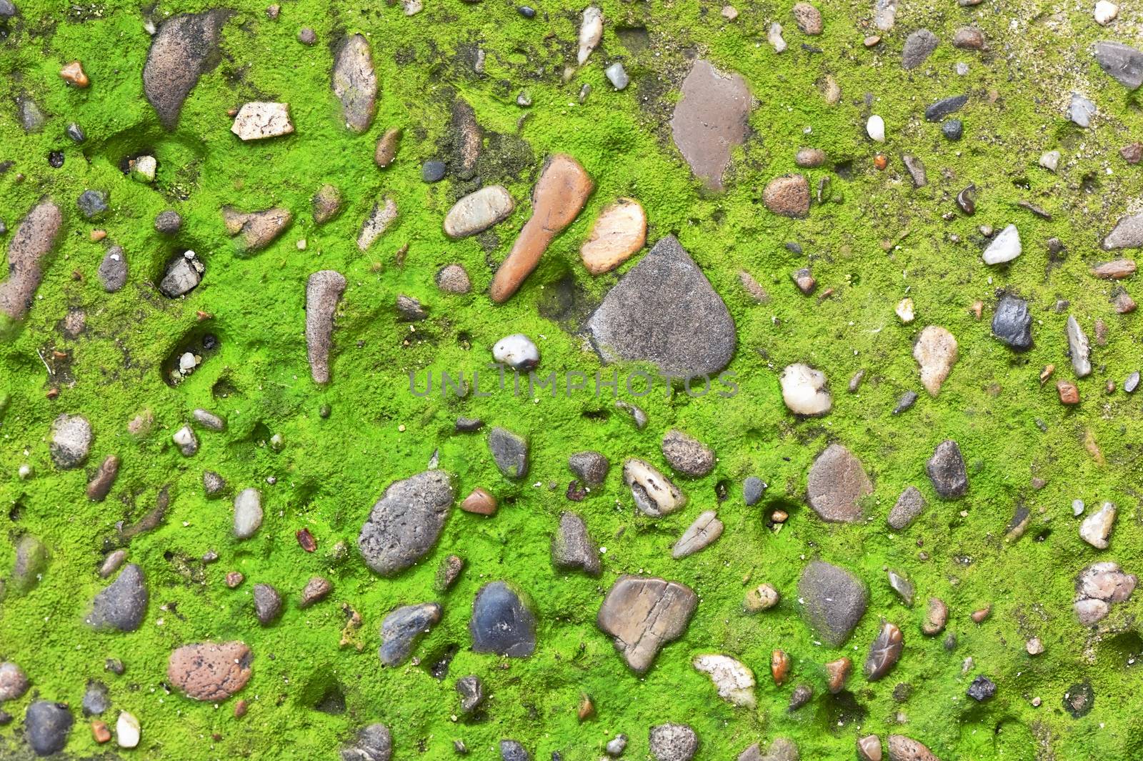 Small Stone Concrete Cement Floor Texture Background by mady70