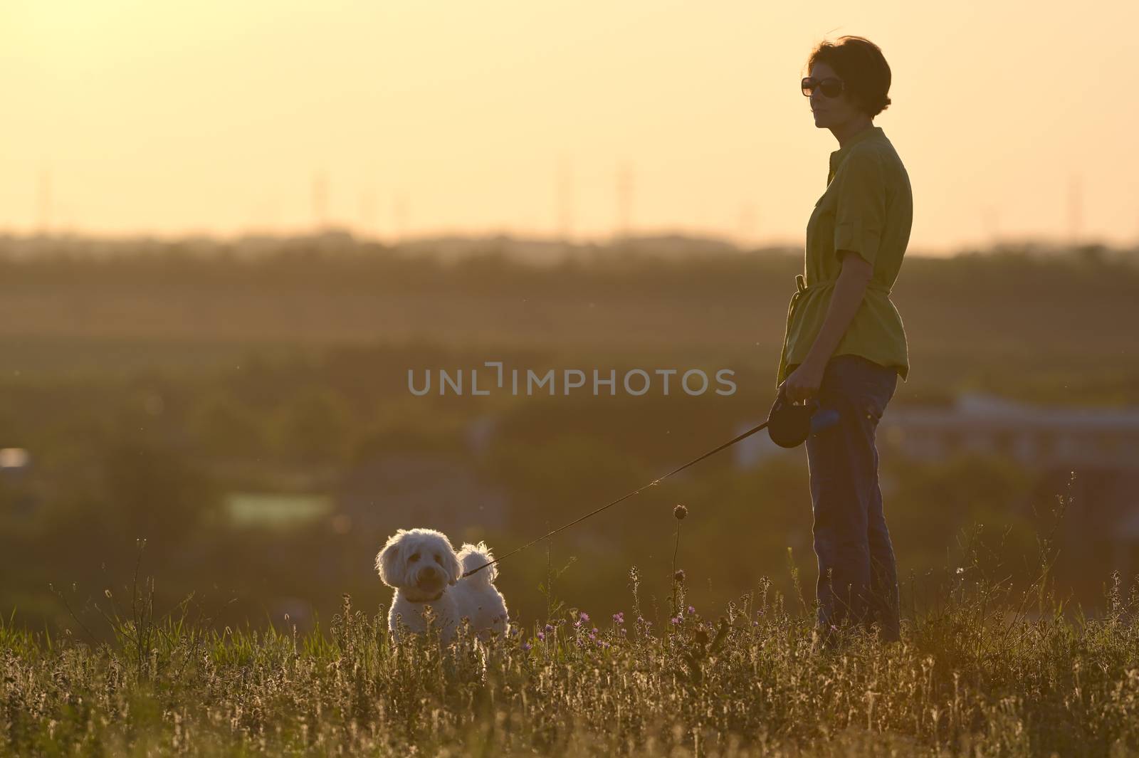 Woman and Maltese dog on Field at Sunset by mady70