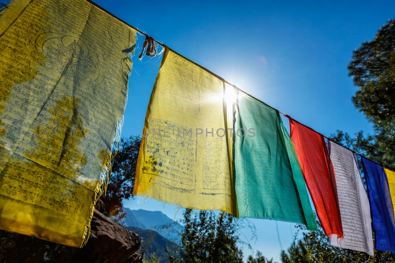 Prayer flags of Tibetan Buddhism with Buddhist mantra on it in Dharamshala monastery temple. India by dimol