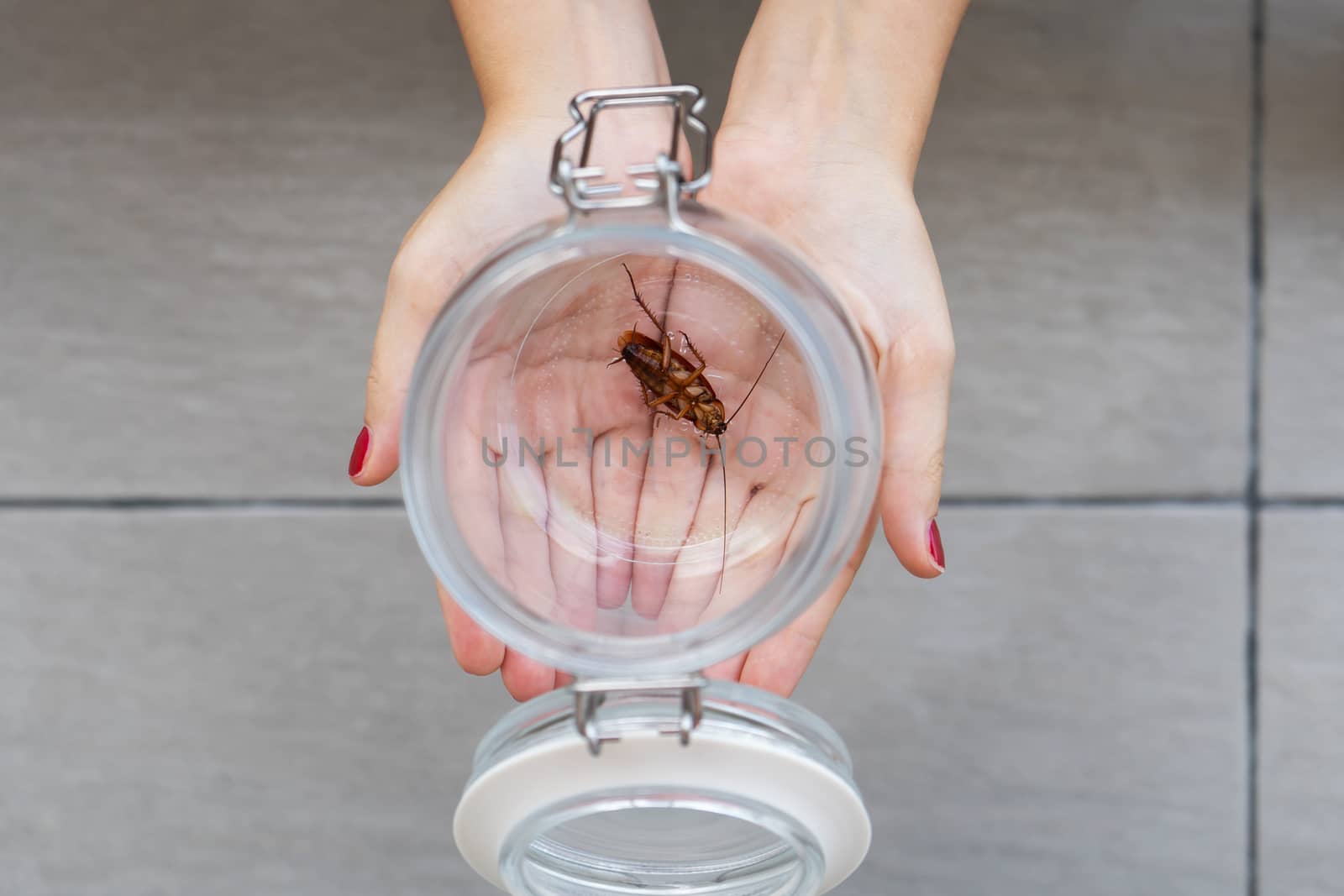 The girl holds on her palm a glass jar with a cockroach inside.