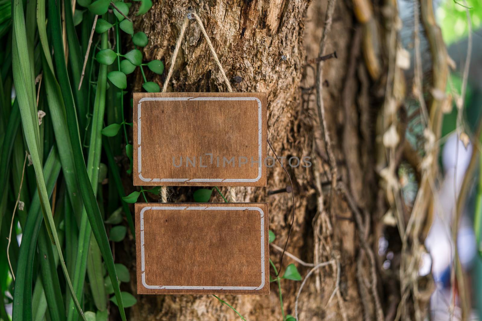 Blank wooden sign hanging on a tree in nature