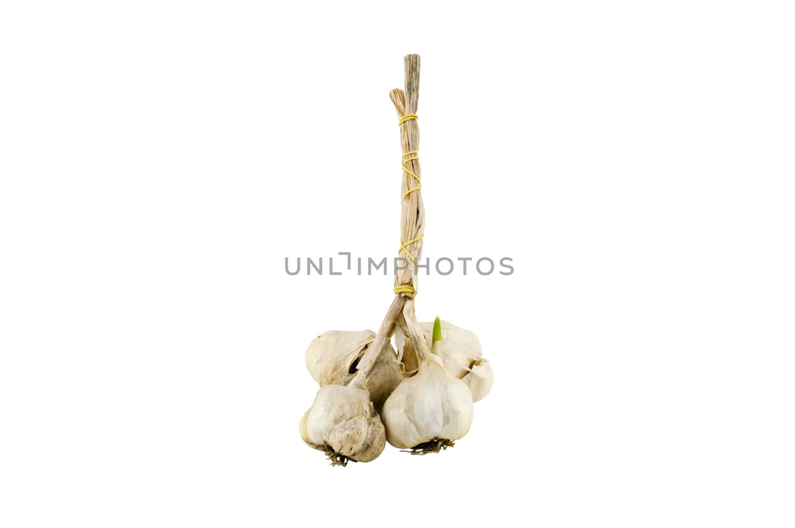 bundle of garlic on a white background