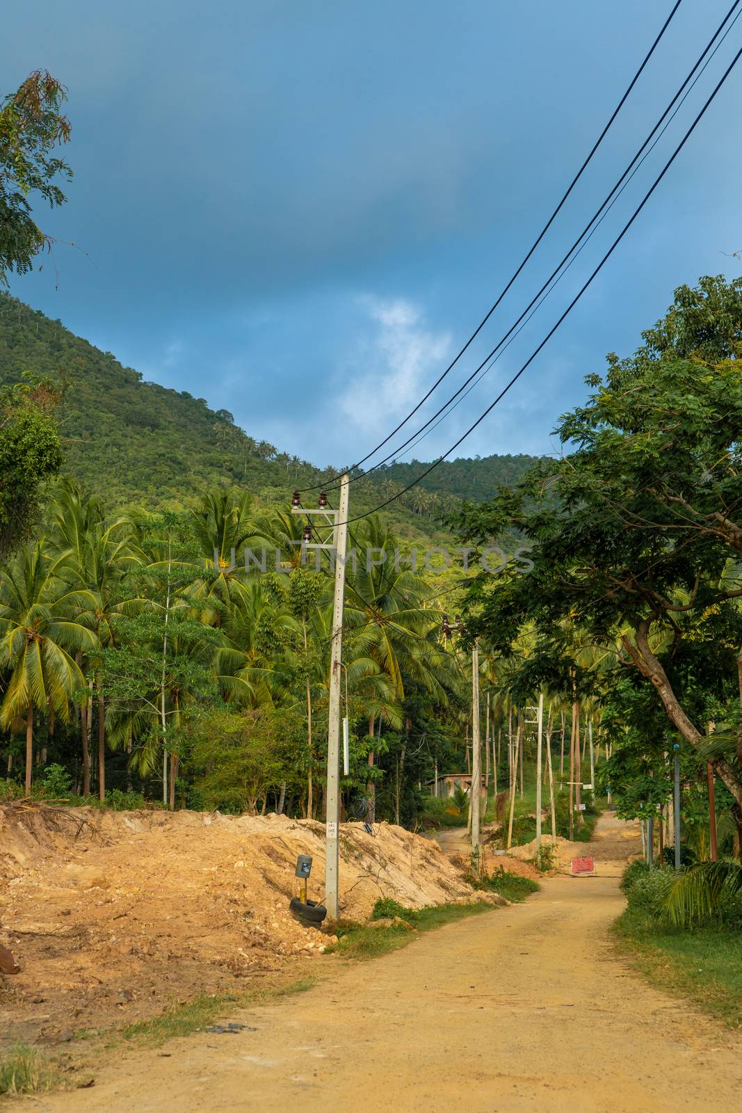 Power line in the jungle. Civilization comes to the wild tropical jungle.