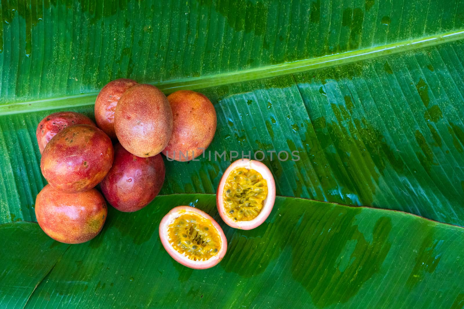 Ripe passion fruit, on a wet banana leaf. Vitamins, fruits, healthy foods by Try_my_best