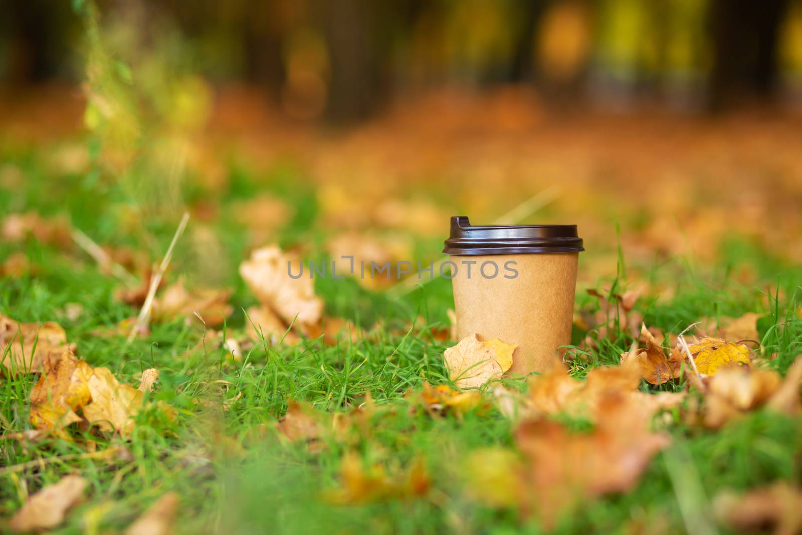Walk with a cup of hot cocoa in the autumn park. Craft cup of coffee on the grass with yellow fallen leaves