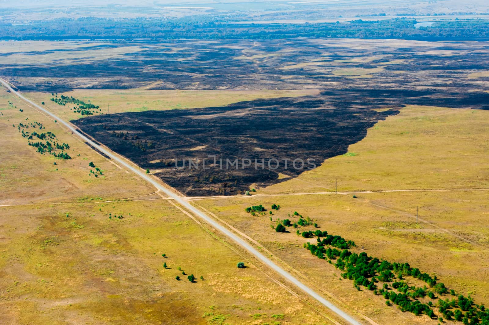 Scorched trees and grass after the fire. Aerial view by grigorenko