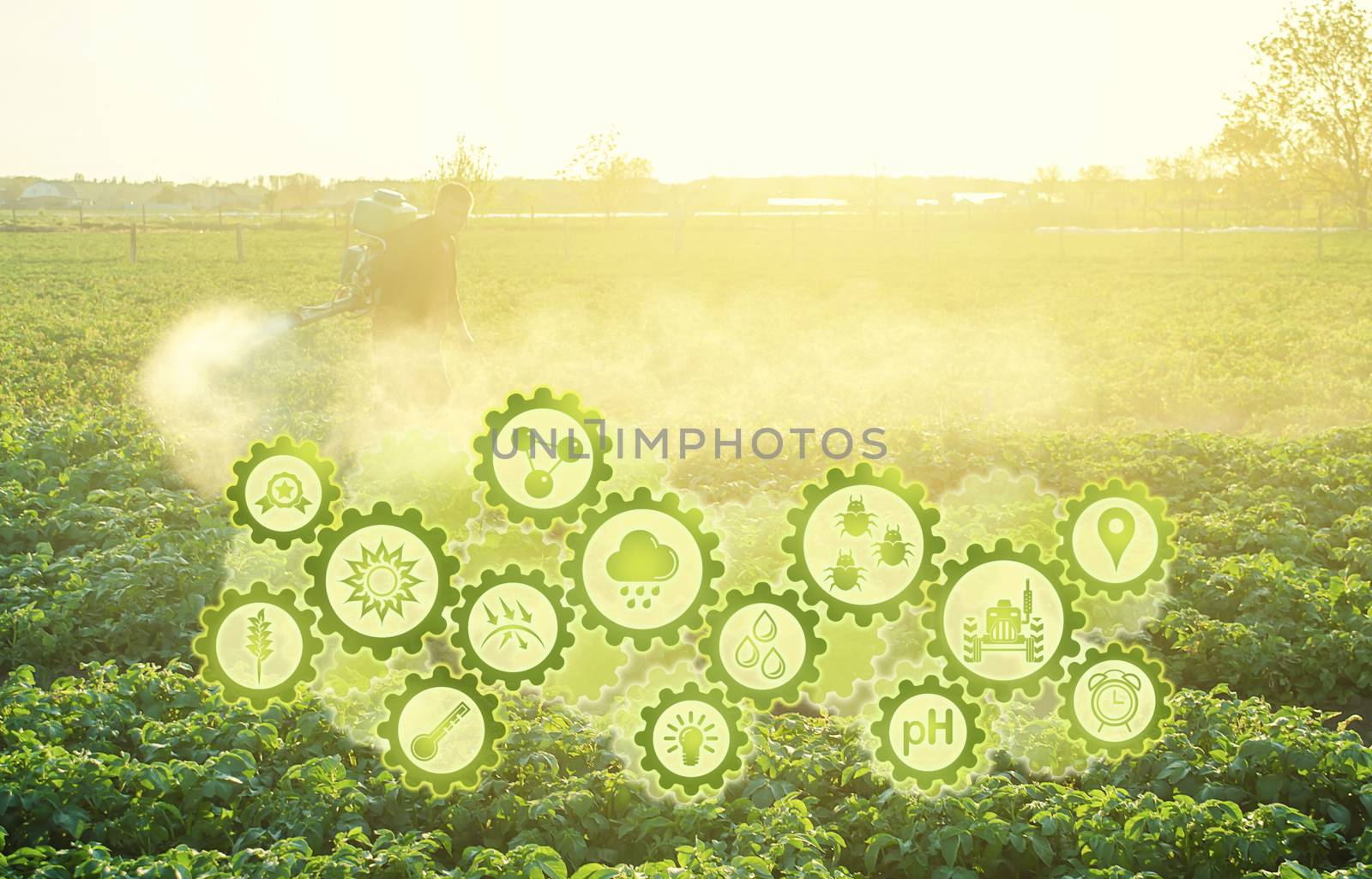 Futuristic innovative technology gears and a farmer processing a potato plantation with a sprayer. Protection from insect pests and fungal diseases. Plant rescue. Agriculture and agribusiness