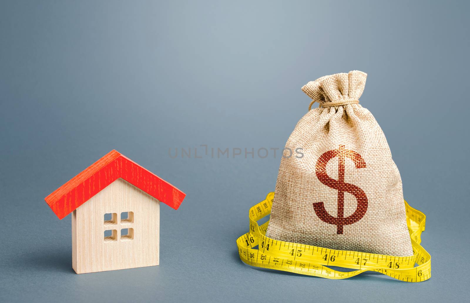 House and a dollar money bag. Property real estate valuation. Buying and selling, fair price. Calculation of expenses for purchase, construction and repair. Building maintenance. Mortgage loan