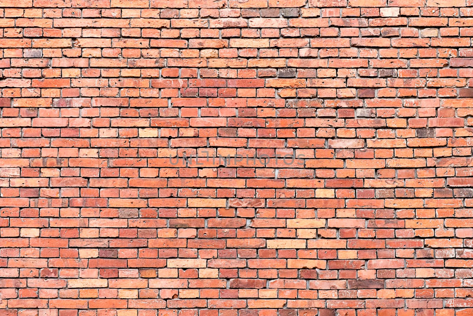 Red brickwall background by elxeneize