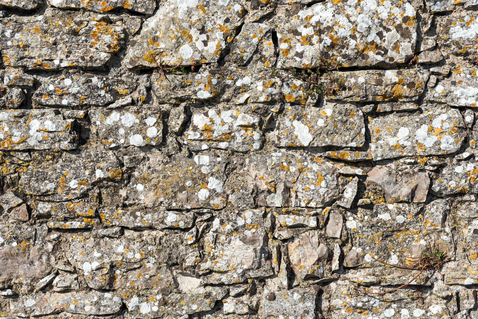 Background from a rough wall of natural stone