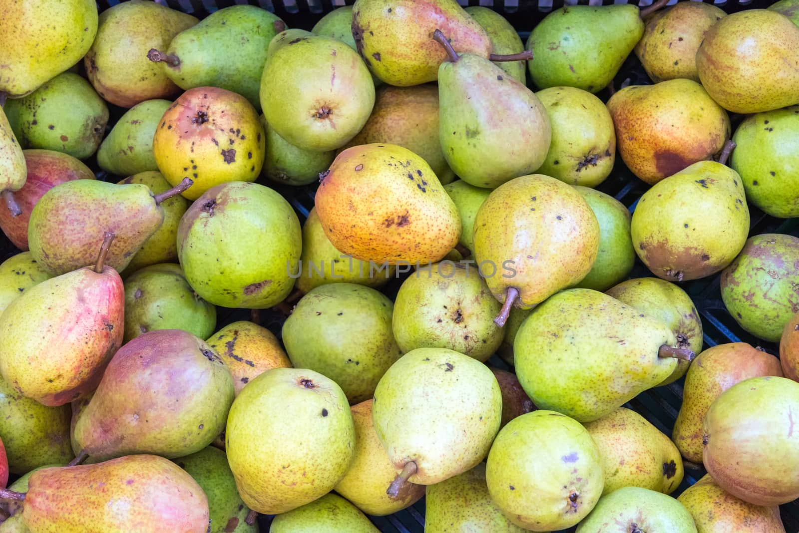 Pile of ripe green pears for sale at a market