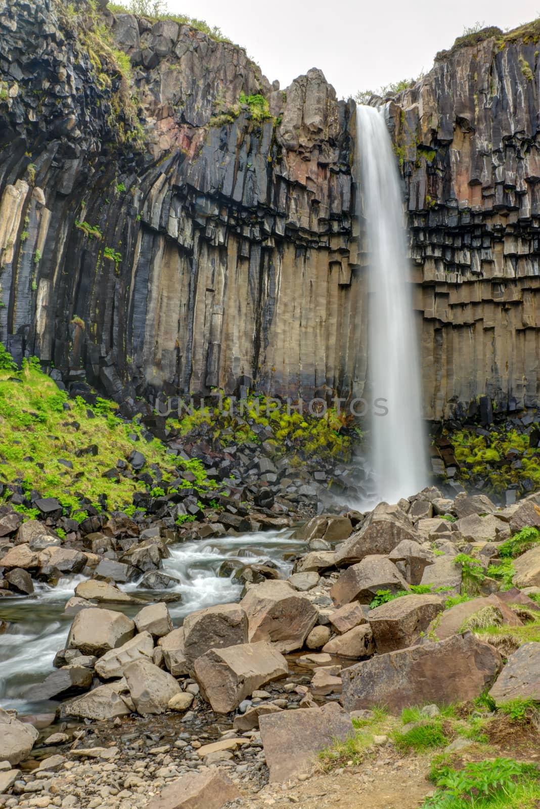 The famous Svartifoss waterfall in southern Iceland