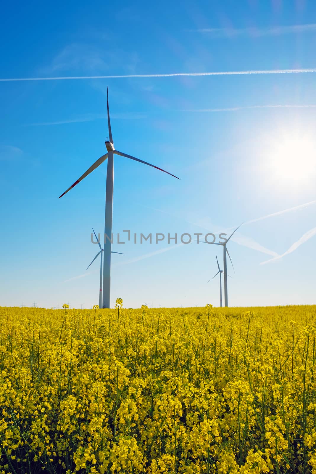 Sunshine, rapeseed and windwheels seen in rural Germany