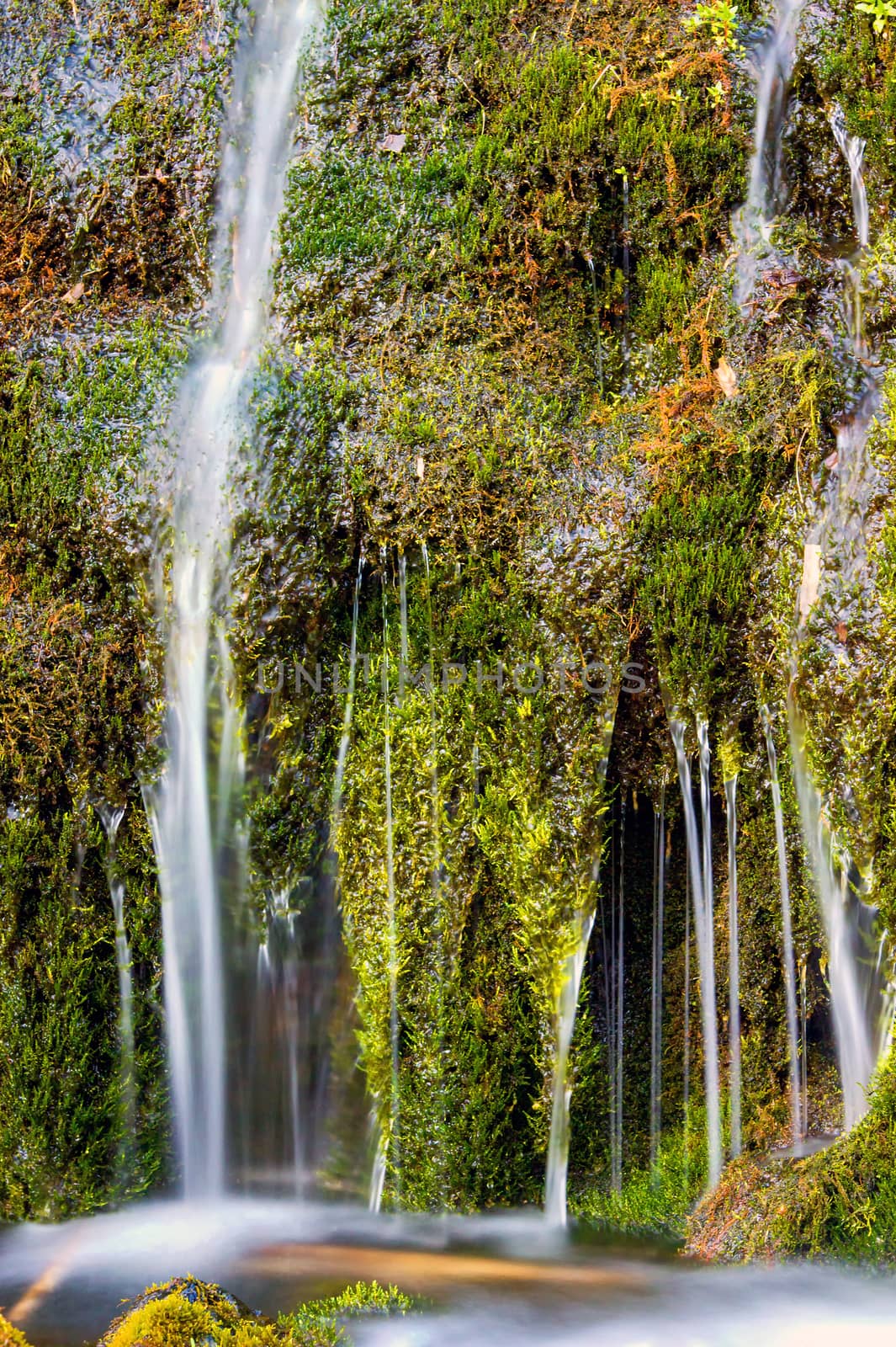 Detail of a small waterfall in the Gjain valley in Iceland