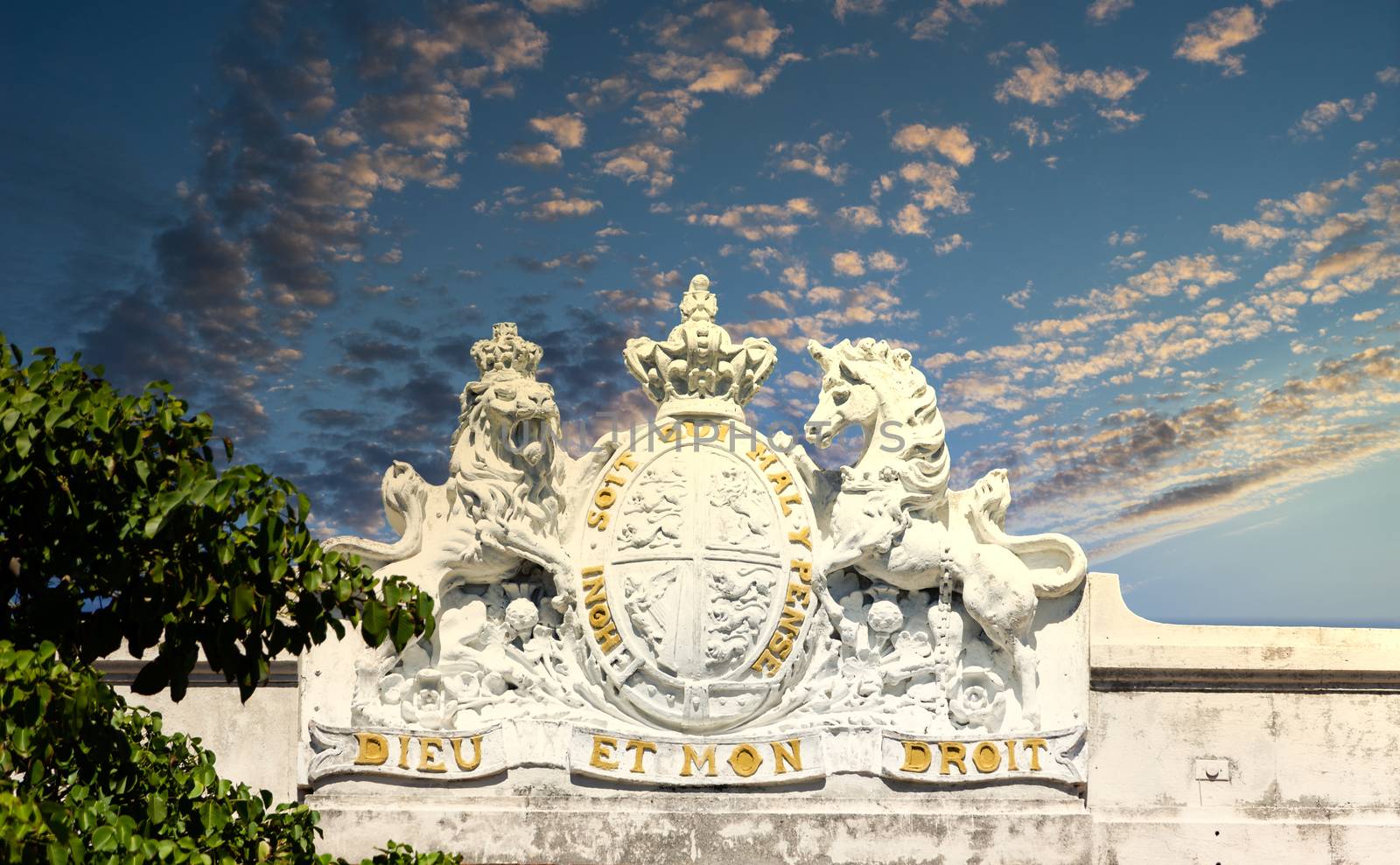 An Old Crest on Bank in Nassau Bahamas