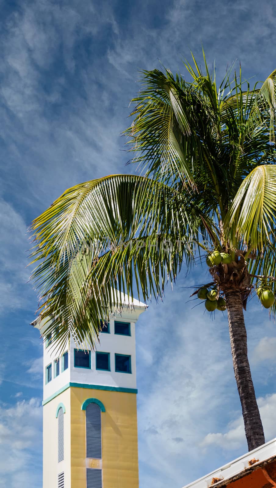 A Stucco Tower Beyond Palm Tree in Nassau Bahamas