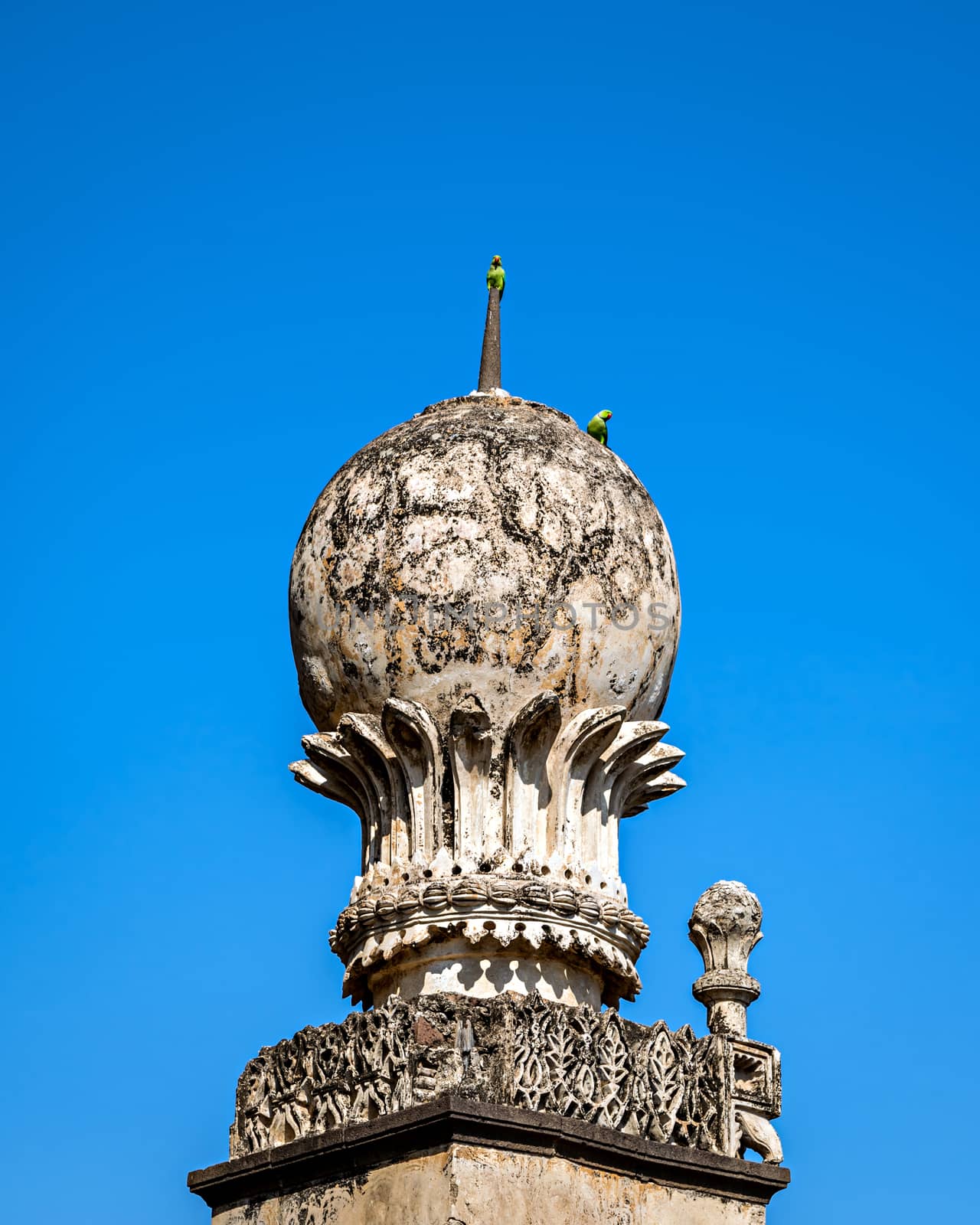 Parrots sitting on the side pillars of Golghumbaj-the mausoleum of king Mohammed Adil Shah, Sultan of Bijapur.