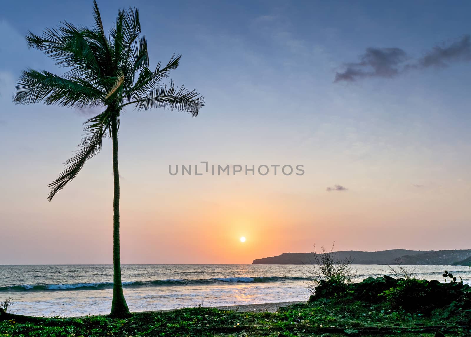 Sun setting in the sea with a coconut tree on the shore. Can be used as background. by lalam