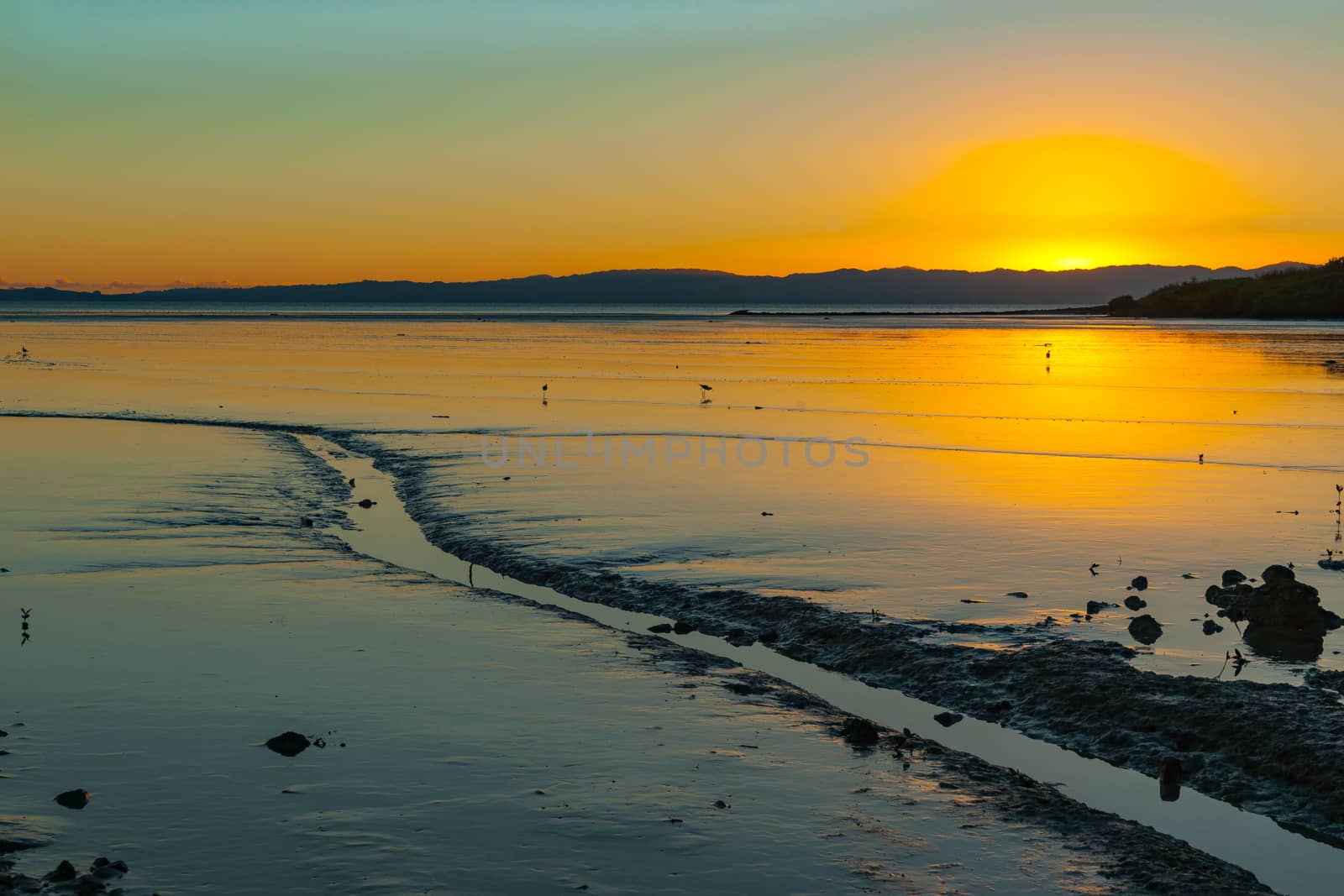 Low tide mudflats with small stream at sunrise. by brians101