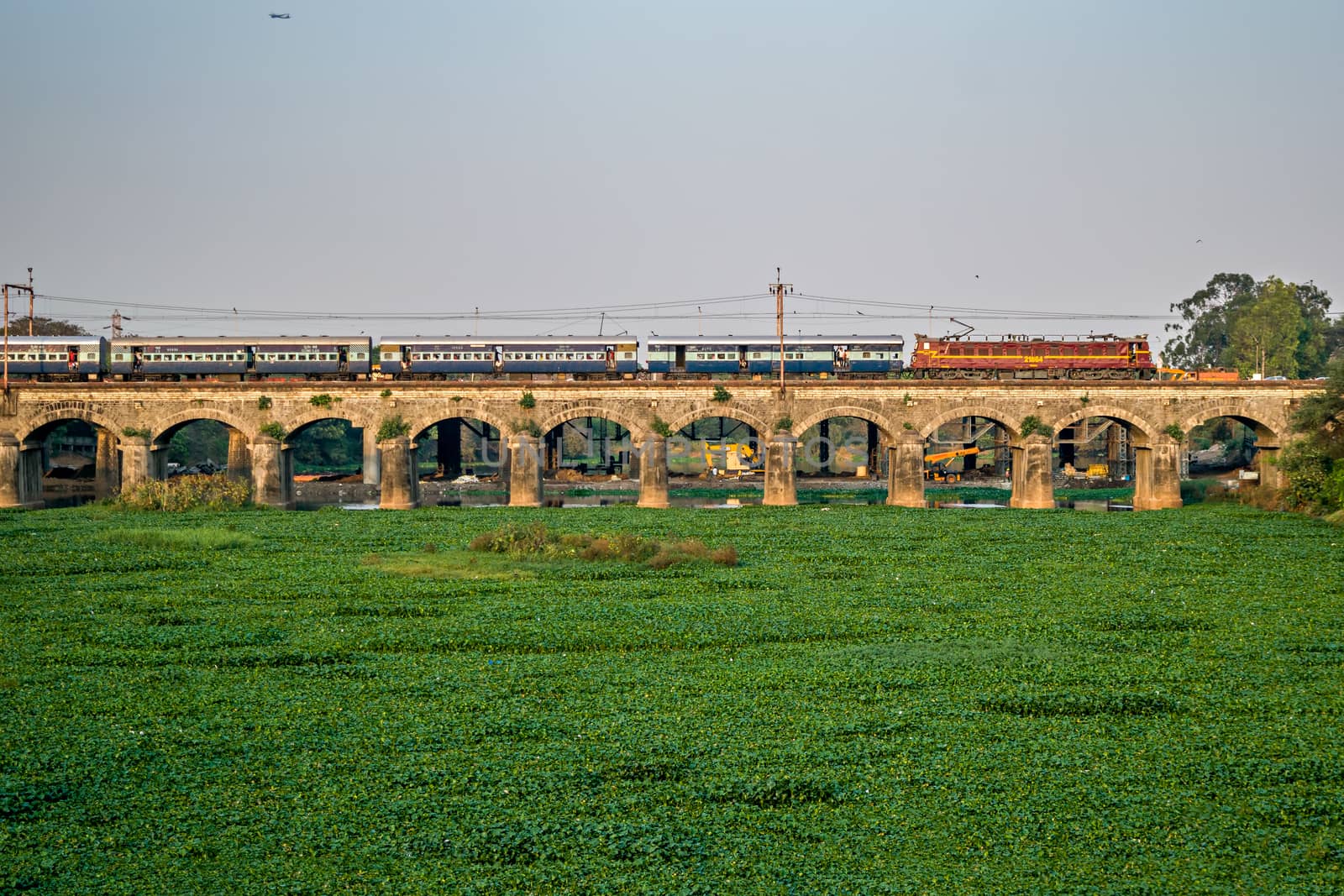 A passenger train crossing water hyacinth filled bed of Mula river in Dapodi. by lalam
