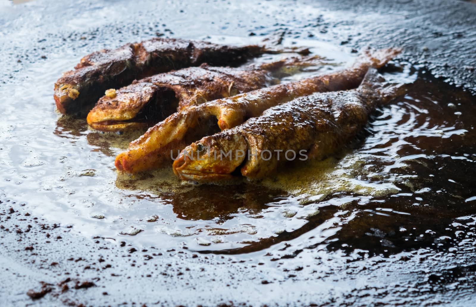 Fresh fish being fried in oil on a hot plate with lots of oil.