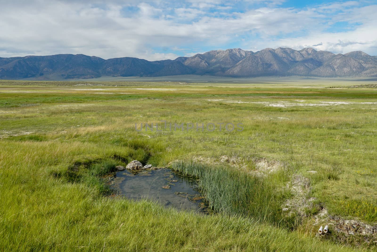 Wild Willy's Hot Spring in Long Valley, Mammoth Lakes, Mono County, California. USA. Natural hot springs from old volcanic activity. 