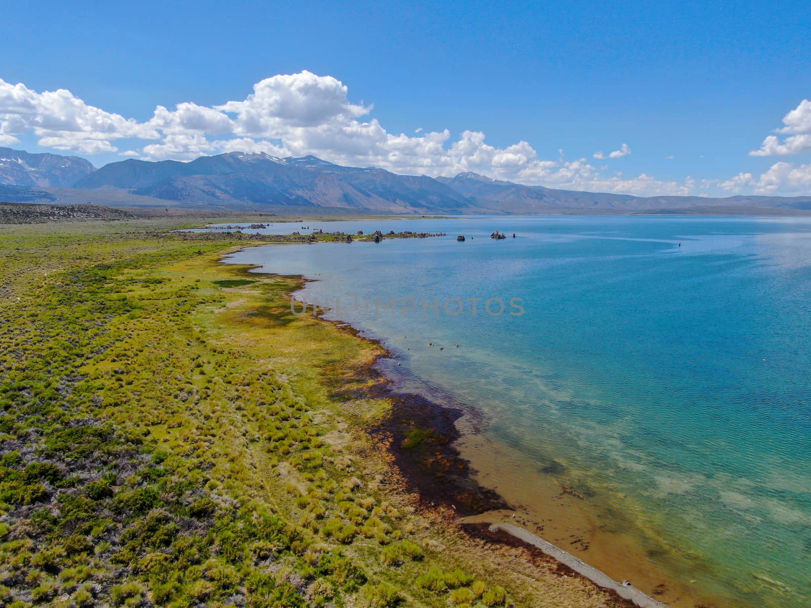 Aerial view of Mono Lake with tufa rock formations during summer season, Mono County, California, USA