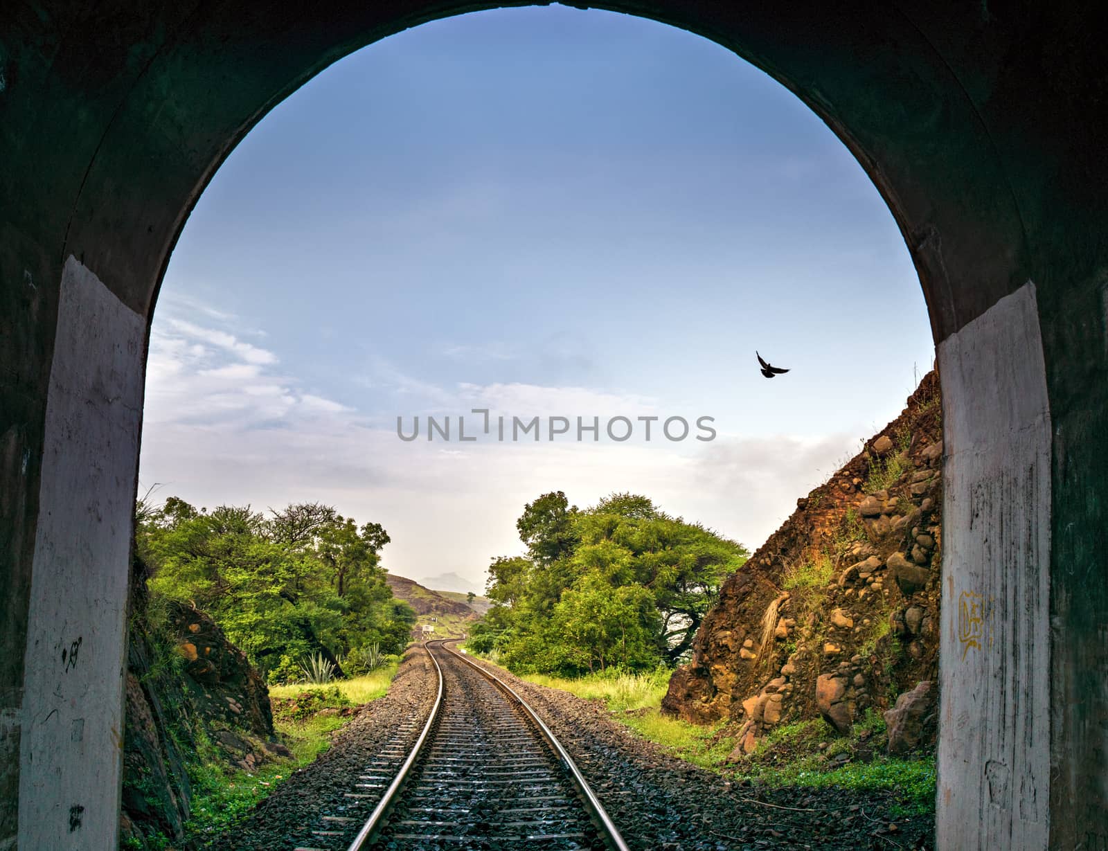 Image of a bird through a arched railway tunnel with track. by lalam
