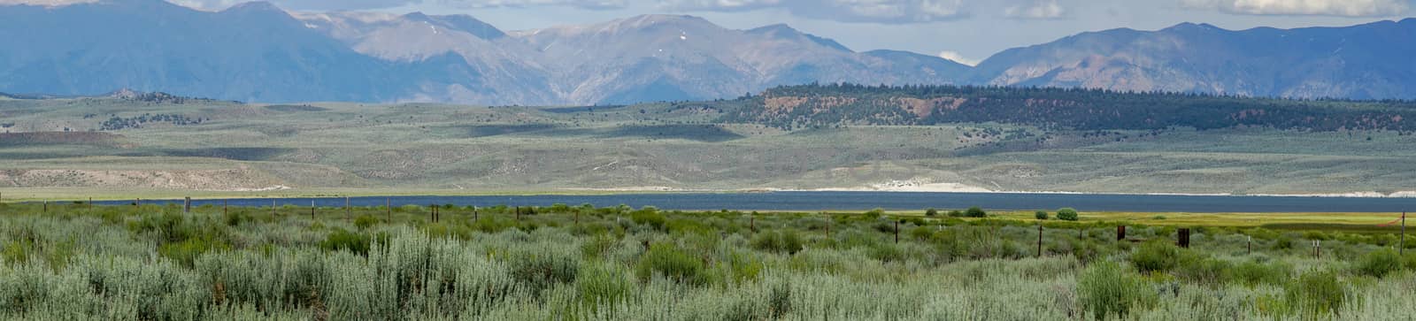 Long valley next the Lake Crowley, Mono County, California. USA. Green wetland with mountain on the background during clouded summer.