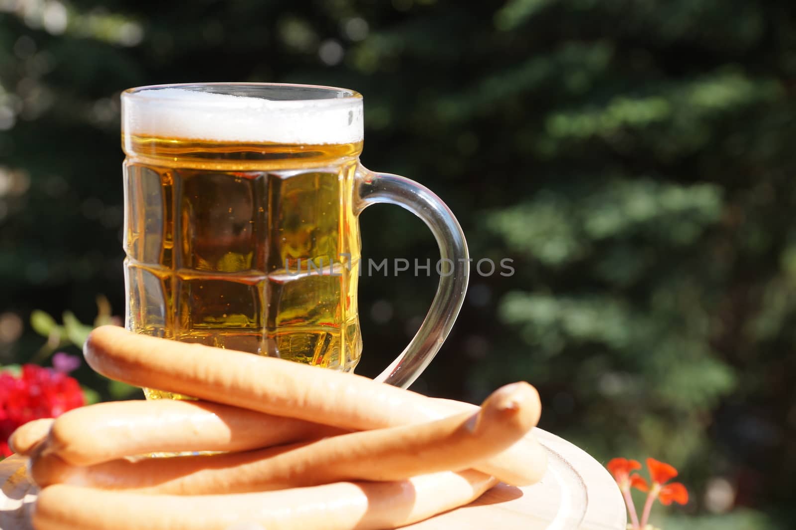 glass mug with beer and sausages on a background of nature on a sunny day. by Annado