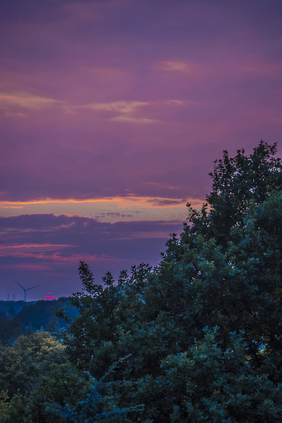 Violet purple and pink, beautiful pink Sunset. by Arkadij