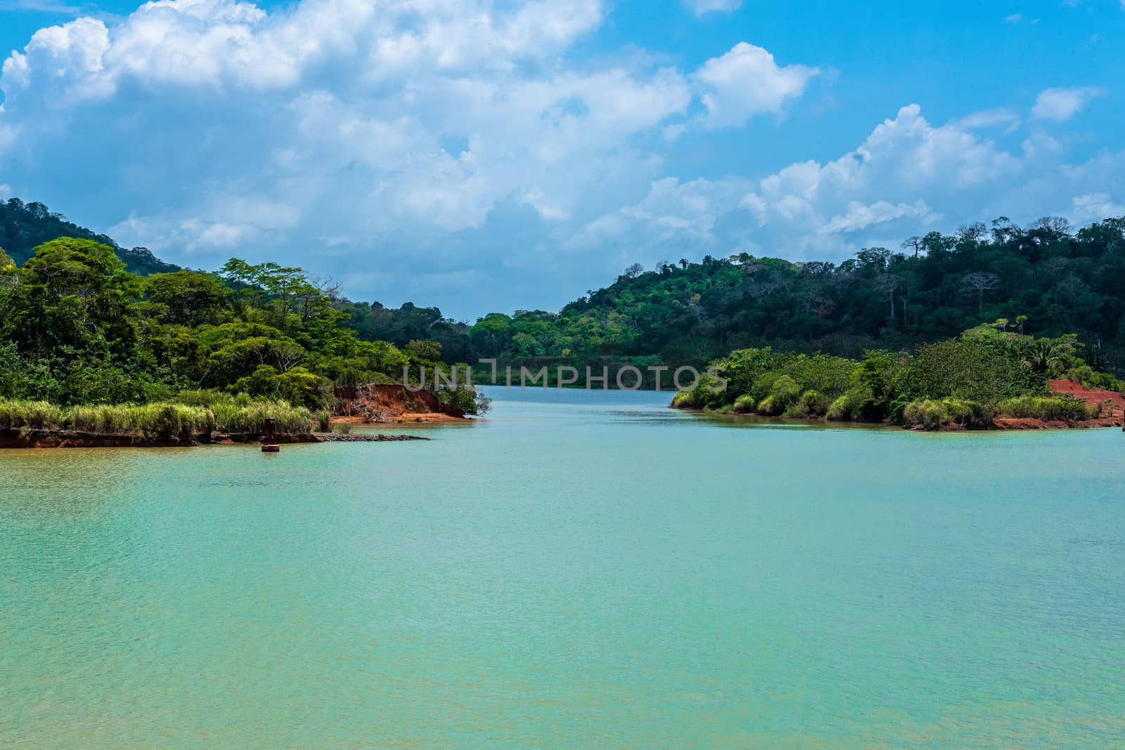 A very narrow passageway lies ahead on Gatun Lake in the Panama Canal complex.